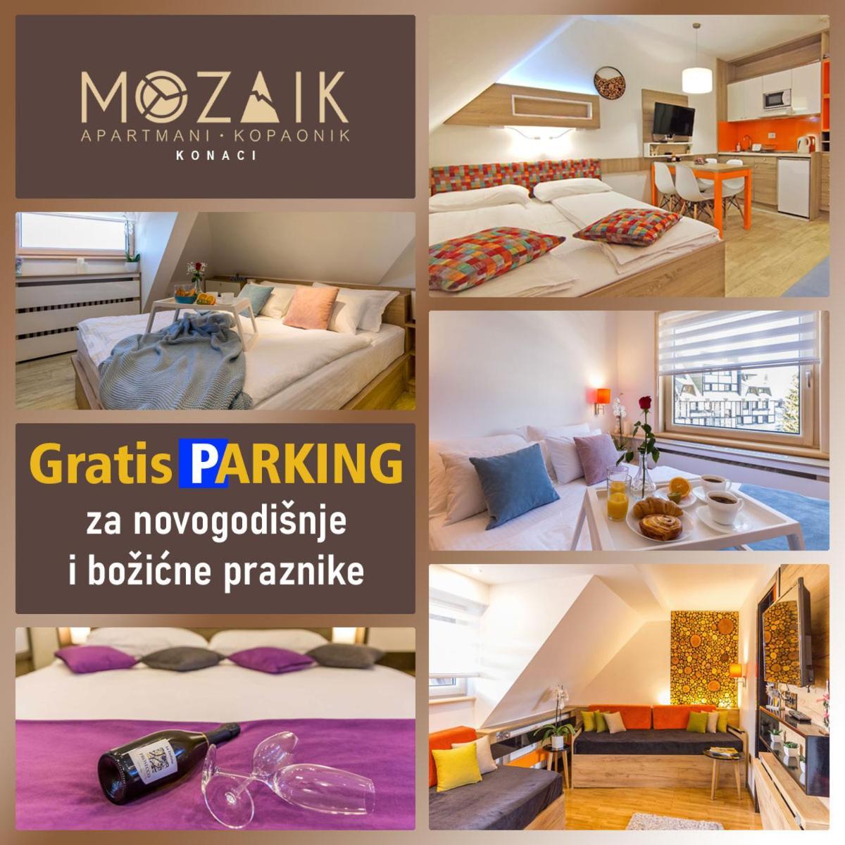 Apartments Mozaik 科帕奥尼克 外观 照片